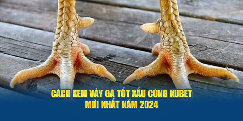 cach-xem-vay-ga-tot-xau-cung-hubet-moi-nhat-nam-2024