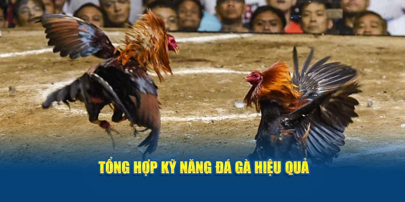 tong-hop-ky-nang-da-ke-hieu-qua