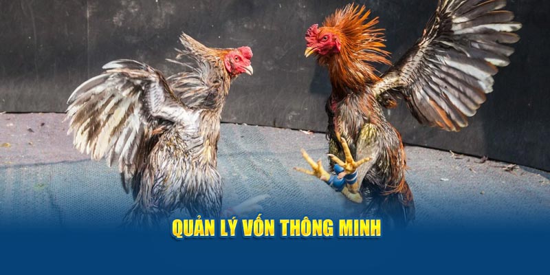 quan-ly-von-thong-minh